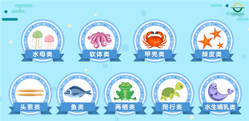 冷凍水產(chǎn)品進(jìn)口報關(guān)