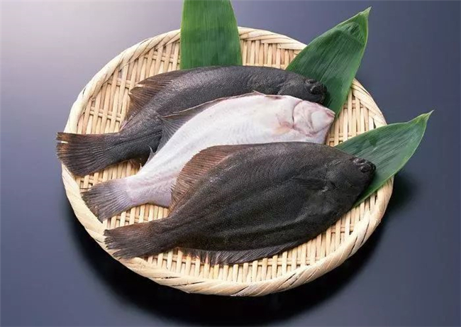 進口水產(chǎn)品報關
