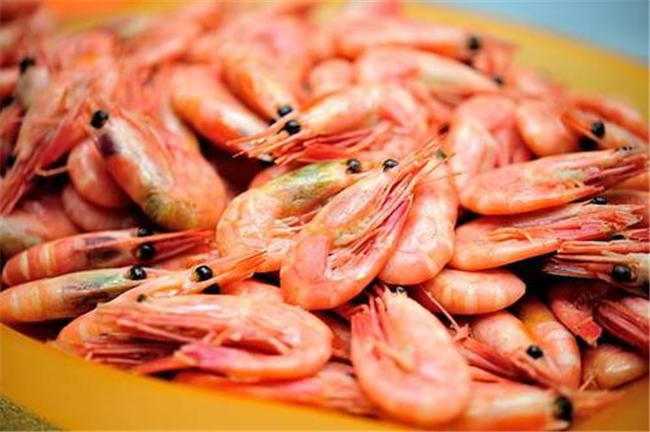 進口水產(chǎn)品報關